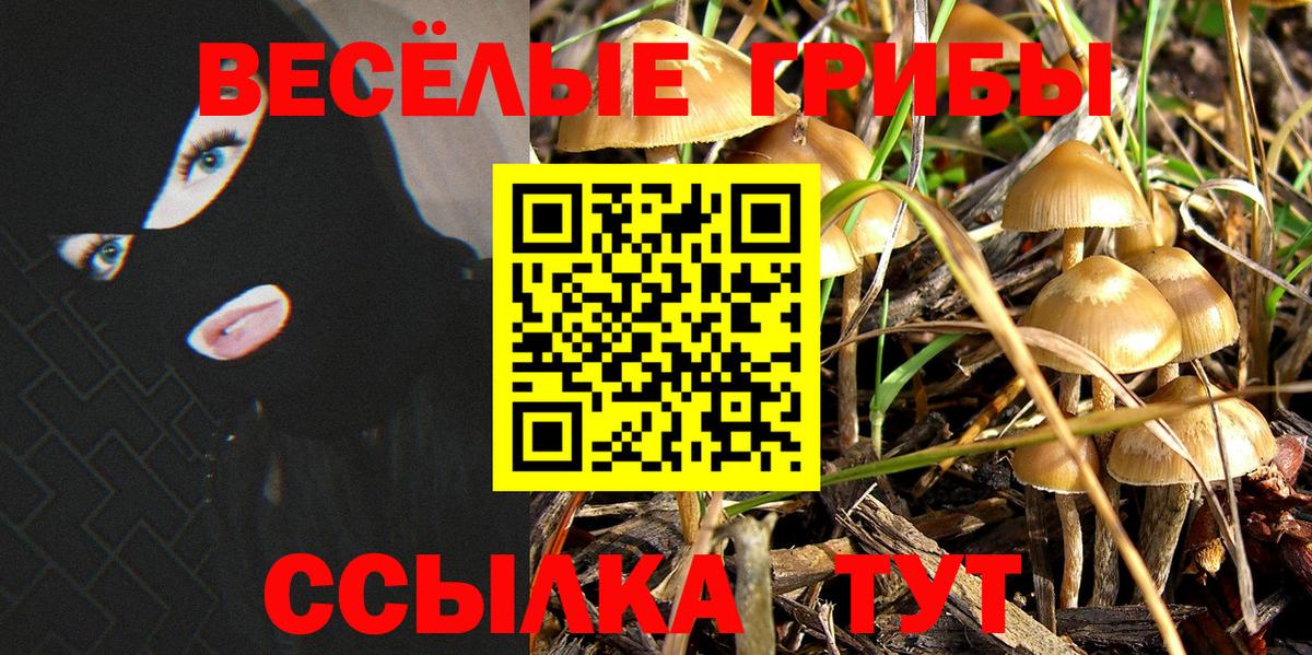 Псилоцибиновые грибы мухоморы Ростов-на-Дону