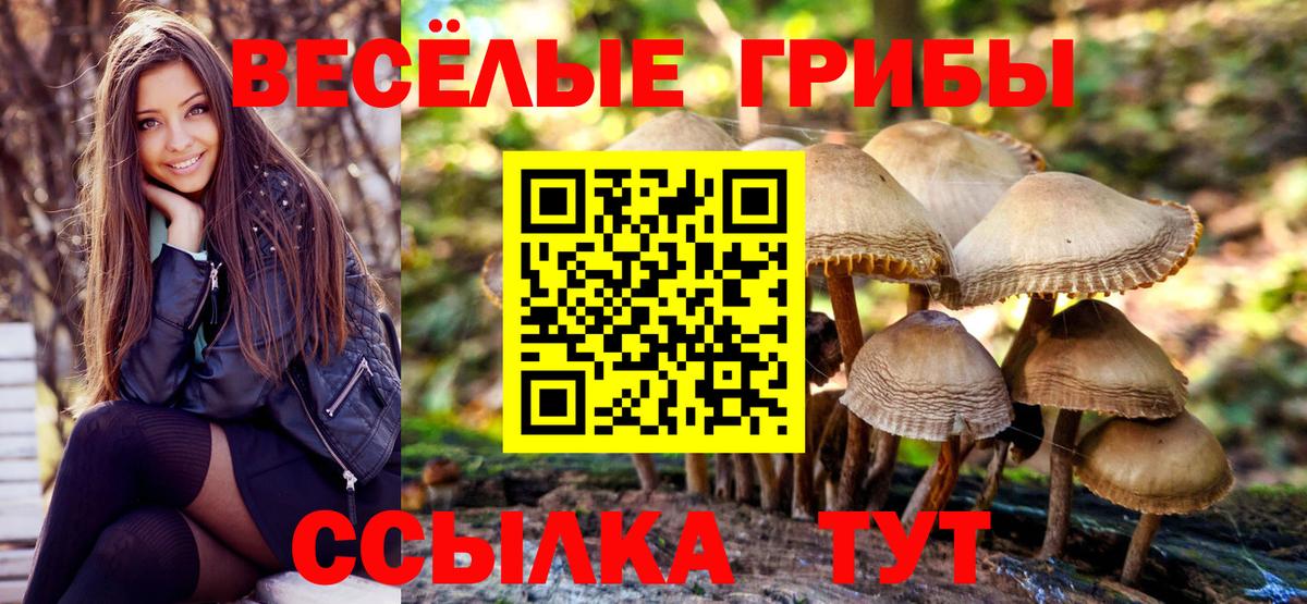 Ростов-на-Дону  Галлюциногенные грибы ЛСД  Вход с VPN 